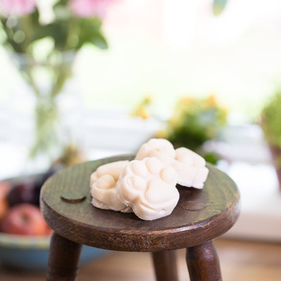 Doggy Shampoo for your sensitive skinned furry family